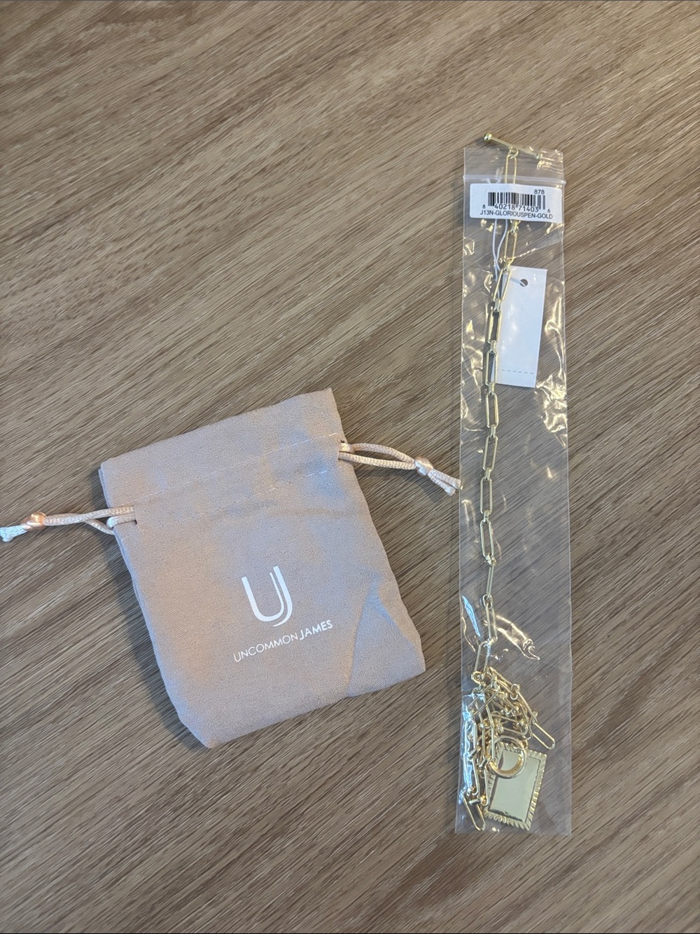 NWT Uncommon James Glorious Pendant Necklace - Gold